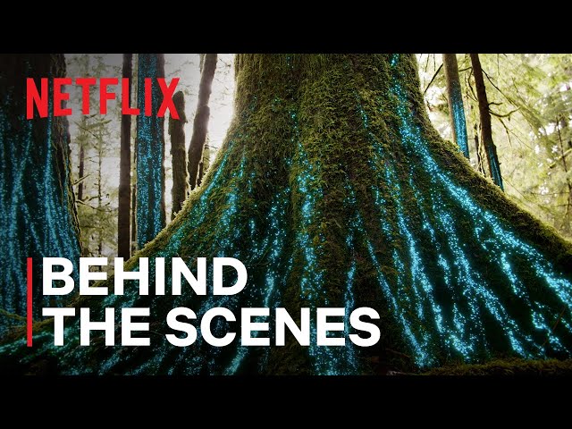 Our Living World | Restore the Planet | Behind the Scenes | Netflix
