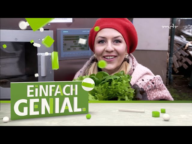 Henriettes Geschichte: Die Salat-Fabrik | Einfach genial | MDR