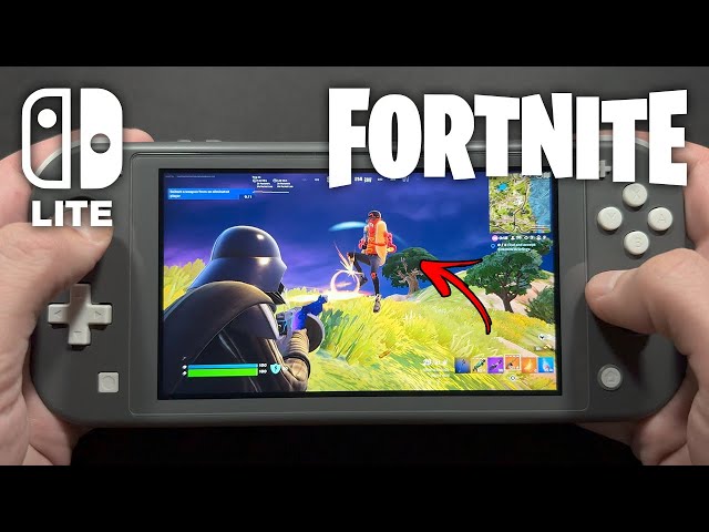 Fortnite on Nintendo Switch Lite #680