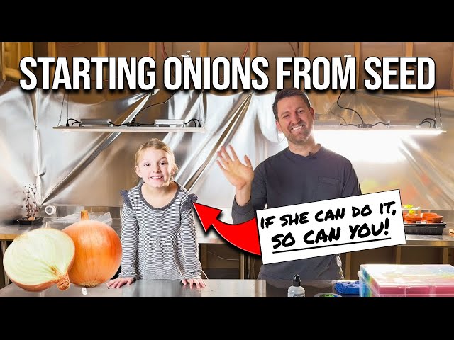 Starting Onion Seeds - Tips for growing your best onions ever!