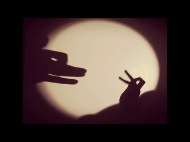 Amazing hand shadow performance - a wolf chases a rabbit through the woods!