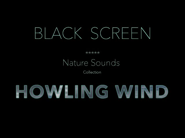Howling Wind Sounds for Sleeping Black Screen - Dark Screen Relaxing Nature Sounds for Sleep