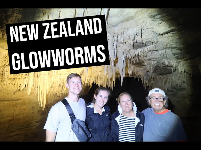 Exploring Glowworm Caves, Waterfalls, and Natural Bridges | Waitomo, New Zealand