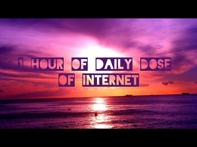 1 HOUR OF DAILY DOSE OF INTERNET 2021 NEW