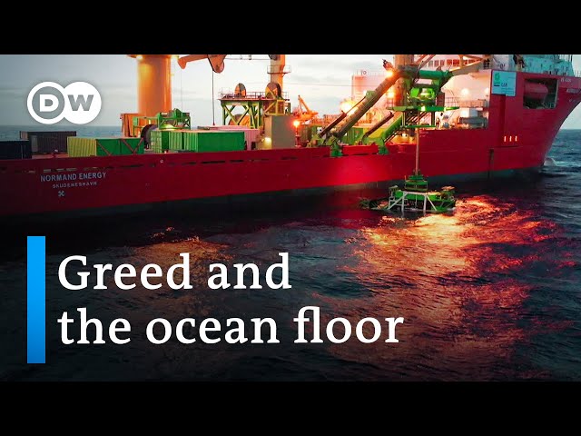 How humans are exploiting the oceans | DW Documentary