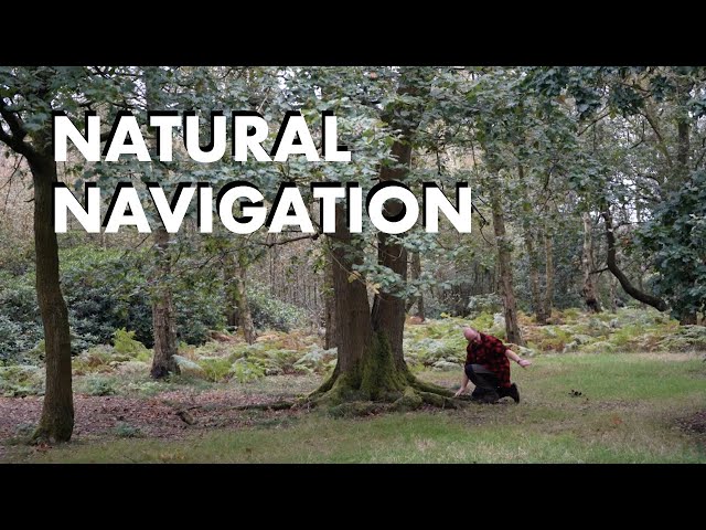 Natural Navigation
