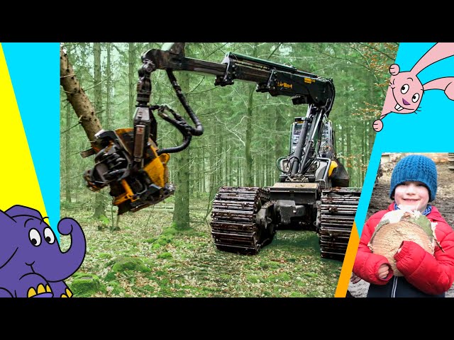 Moritz und die Maschinen: Im Wald mit der Baumfällmaschine | Der Elefant | WDR