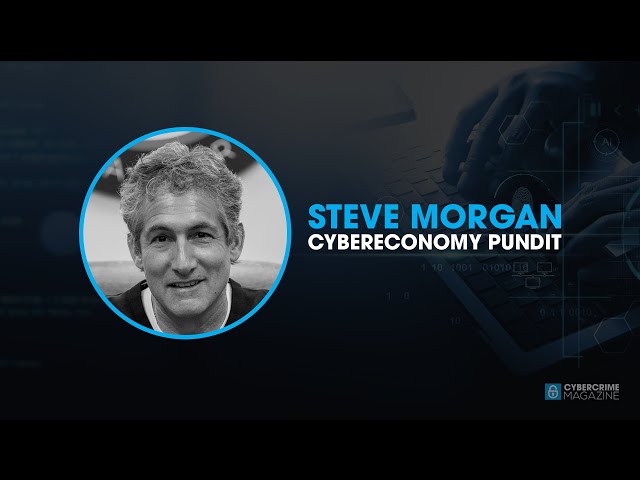Steve Morgan, Cybereconomy Pundit