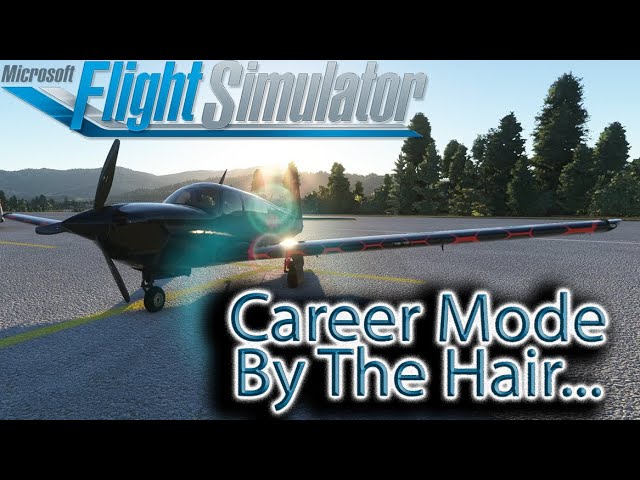 Microsoft Flight Simulator | Career Mode  | By The Hair..