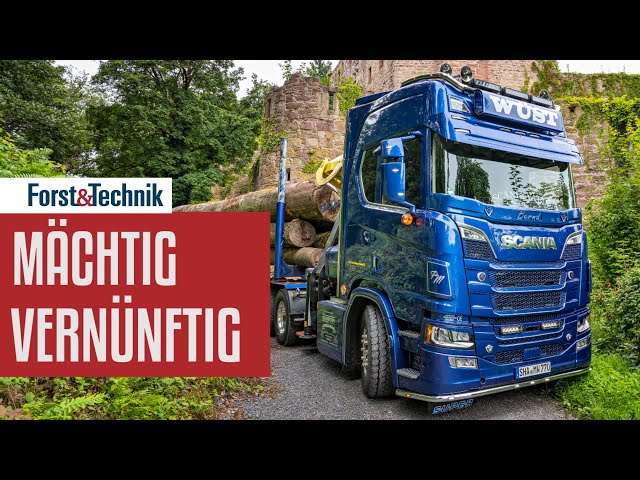 Scania R770 im Holztransport: Mächtig vernünftig