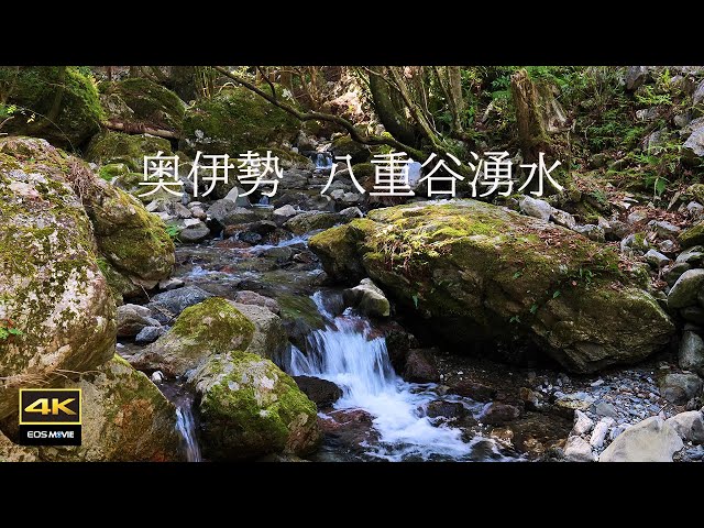 4K video + natural sounds  / February / Rock moss and spring water forest / Okuise / Yaetani Yusui