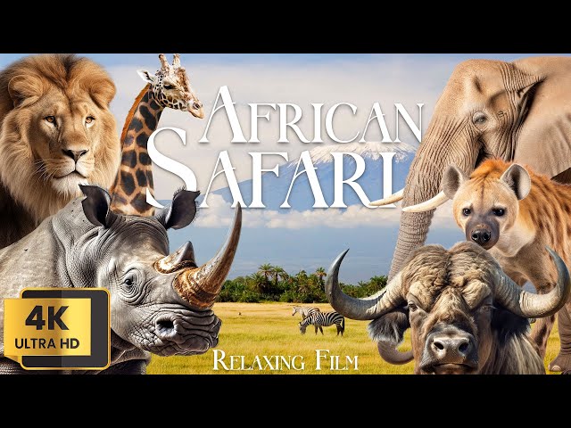 African Safari 4K - A Relaxing Film for Ambient TV in 4K Ultra HD