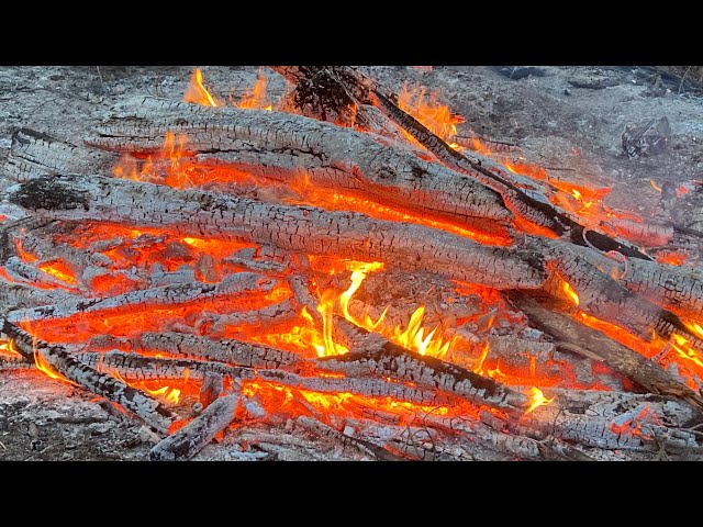 Burning a 50-Foot Brush Pile Down to Just Ashes - Homestead Cleanup Routine