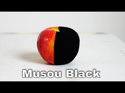 Musou Black—The (New) World's Blackest Paint Turns Anything Into A Shadow