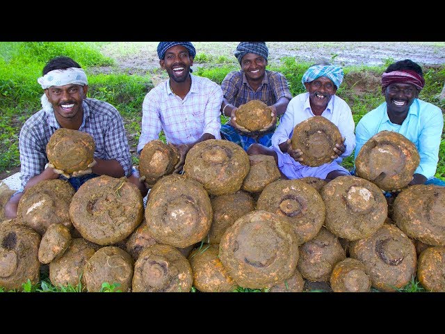 ELEPHANT FOOT YAM Cooking | Elephant Foot Yam Fry and Gravy With Mutton Meat | Village Cooking