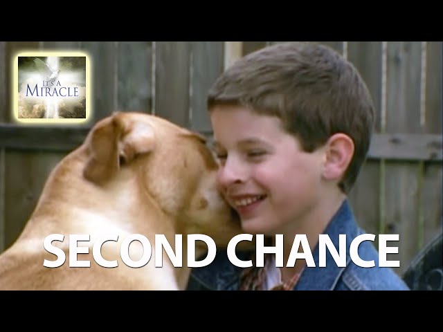 Second Chance - It's a Miracle