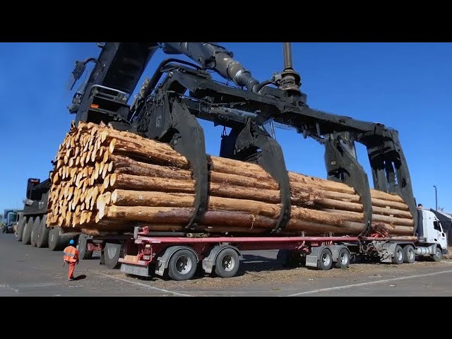 599 Biggest Heavy Equipment Machines Working At Another Level