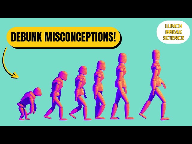 Human Evolution Misconceptions