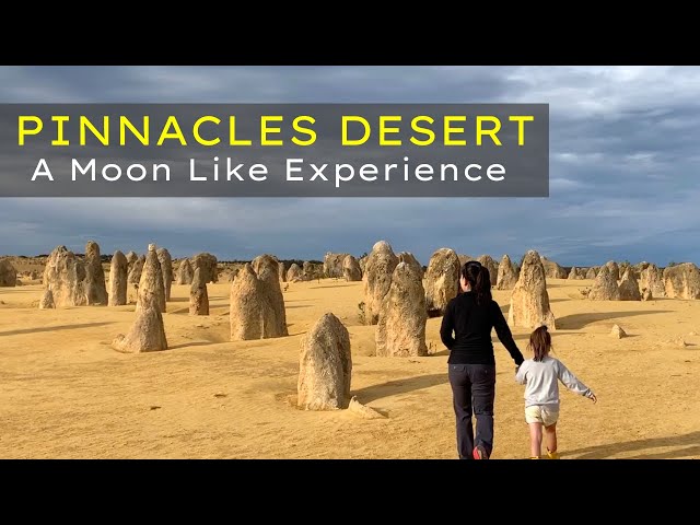 Pinnacles Desert Western Australia  - Why YOU should visit Nambung National Park!