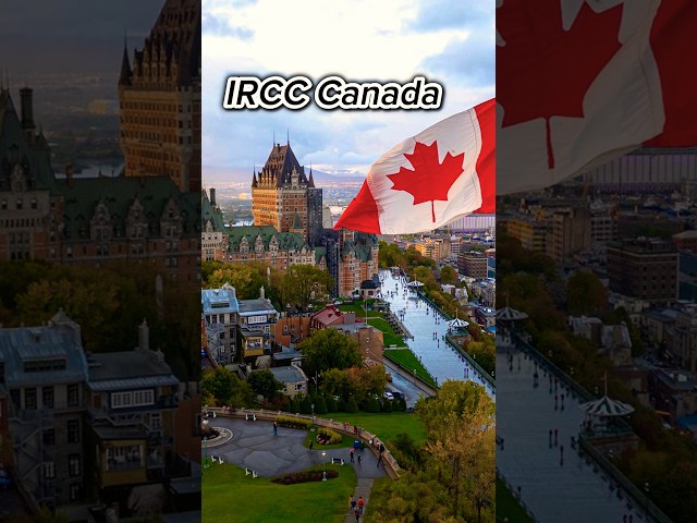 Canada Fake Offer Letters Case update #canadastudentlife #canadastudyvisa