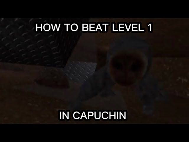 HOW TO BEAT DAVE (Capuchin)