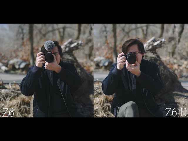 Nikon Z6 vs Z6 II comparison
