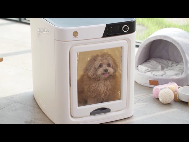 Blow-Dry Box for Pets | The Henry Ford’s Innovation Nation