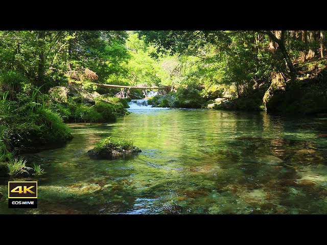 4K video + natural environment sound ASMR  / The Enbara River with amazingly beautiful water.