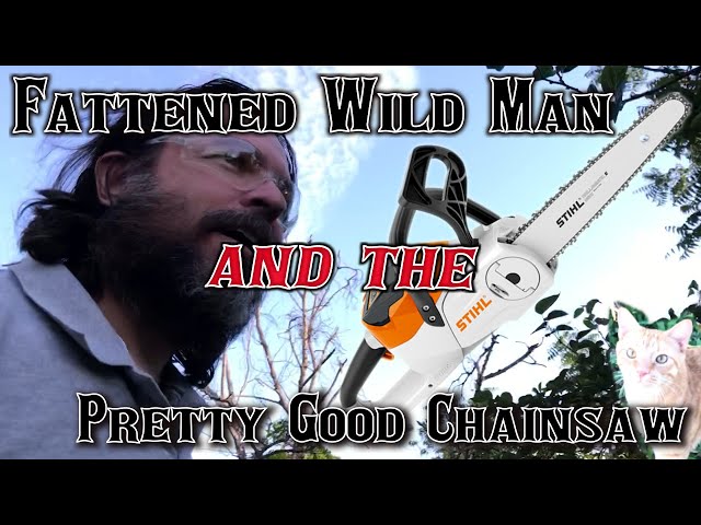 Trying out my new STIHL MSA 120C 36V Chainsaw / Neem tree felling / Foster cats visit