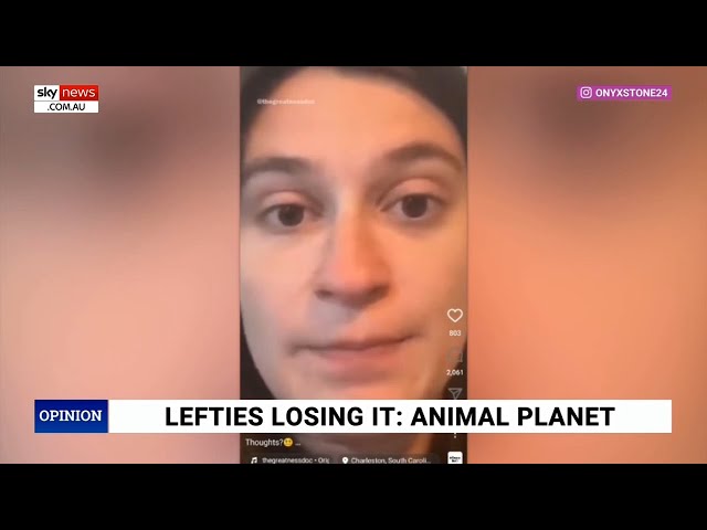 'Lefties Losing It': Woman takes son to vet because he identifies as a cat
