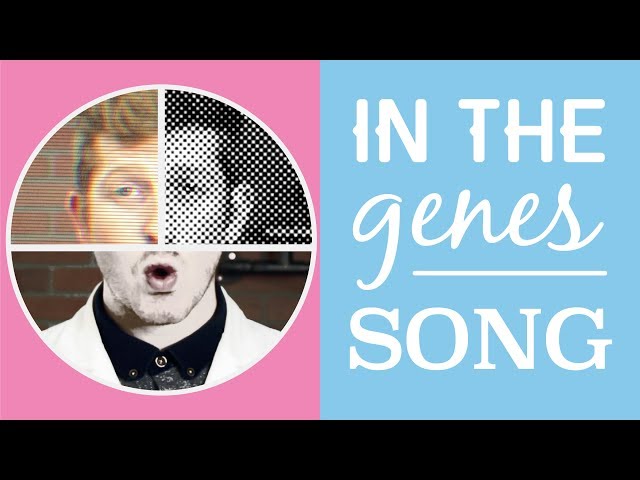 In the Genes SONG | What are Genes?