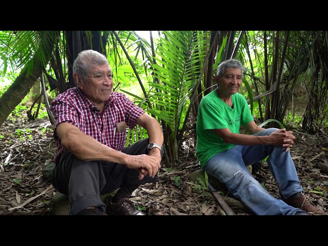 Is the Maya Forest Garden the key to sustainable agriculture?