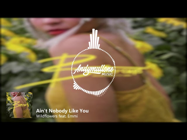 Wildflowers feat. Emmi - Ain't Nobody Like You