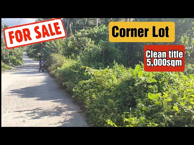 #91 Corner Lot for sale 5,000sqm / Lot for sale Calauag Quezon province