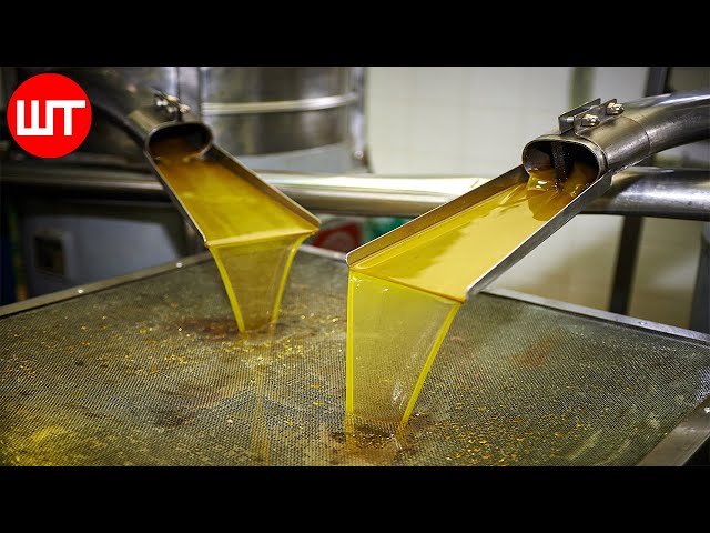 How Olive Oil Is Made | Olive Harvesting Technology | Factory Process