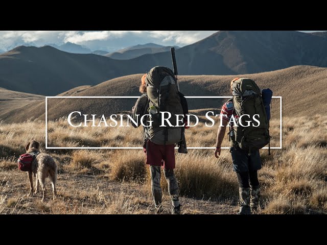 Hunting Red Stags || New Zealand || The Weekend Mish ep2, S2