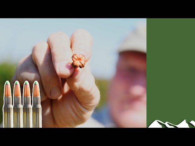 On test: best copper bullets for deer