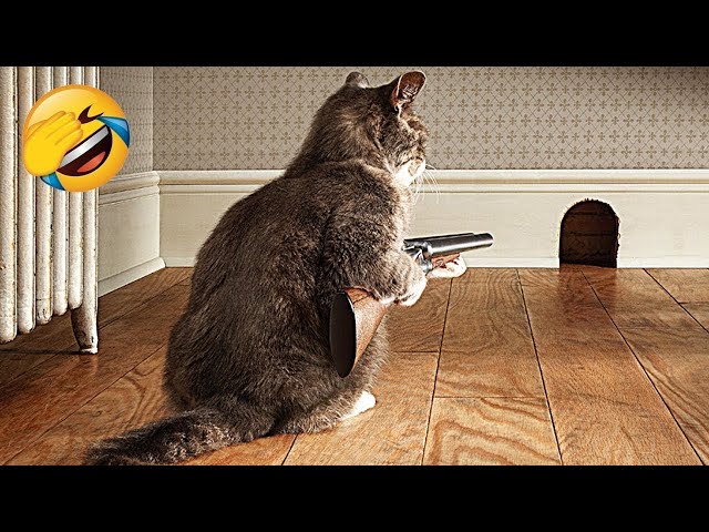Funniest Animals 🤣 Hilarious Cats and Dogs 2024 😹🐶 Part 26