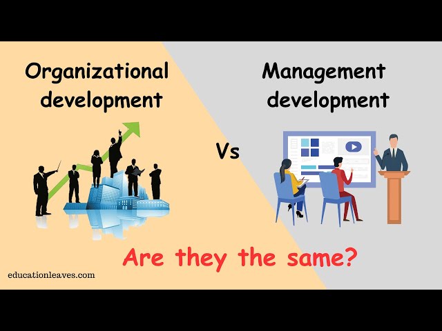 Organizational development vs Management development