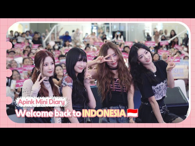 (SUB) Apink Mini Diary - Welcome back to INDONESIA🇮🇩