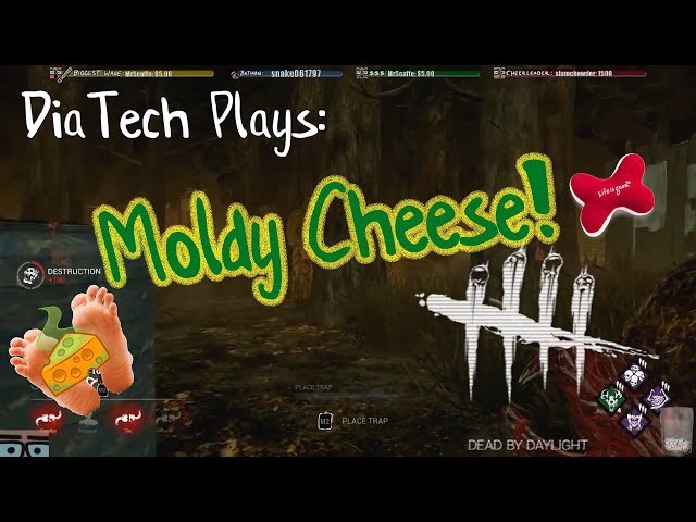 Moldy Cheese! - DbD Highlights