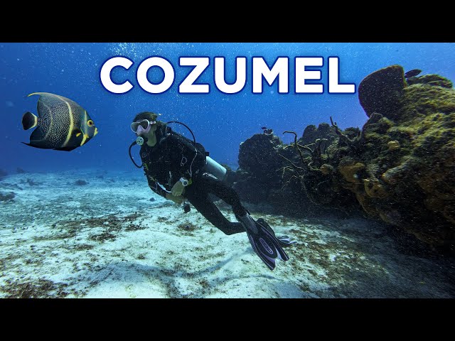 Scuba Diving in Cozumel, Mexico