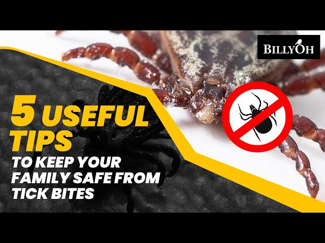 5 Useful Tips to Keep Your Family Safe From Tick Bites - Life Hacks For Families To Avoid Ticks