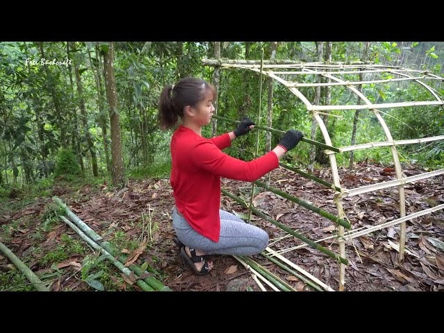 Buiding survival shelter in the forest, Bushcraft cooking delicious | Free bushcraft Ep.63