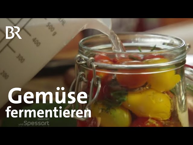 Gemüse fermentieren: Haltbar machen durch milchsaure Gärung | Zwischen Spessart und Karwendel | BR
