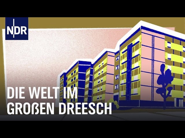 Leben im Hochhaus - Dreesch 1 - 3  | Doku | NDR Story
