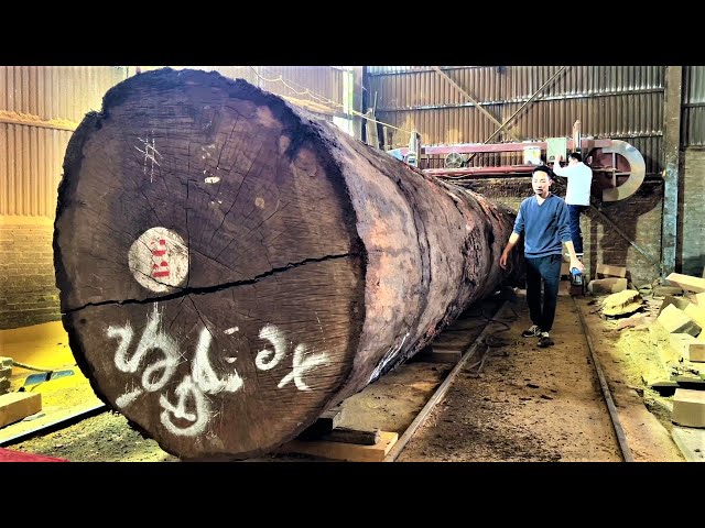 Amazing Sawmill Wood Cutting - Trees Rare Than Gold Largest Giant Black Wood Processing Process