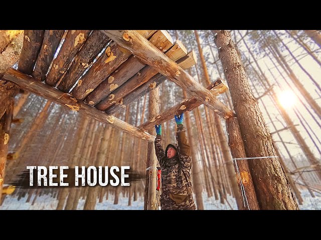Building a tree house in harsh weather conditions. I make the foundation and the floor. Part 1.