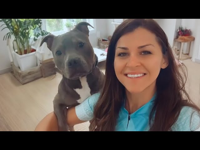 Funny Dog and Human Videos That Will Thrill Your Soul