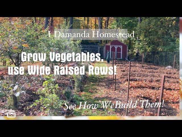 Making a Wide Raised Row Vegetable Garden, the Lasagna Method!